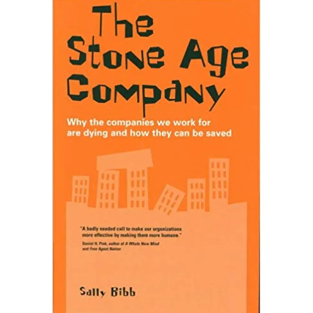 The Stone Age Company: Why The Companies We Work For Are Dying And How They Can Be Saved By Sally Bibb